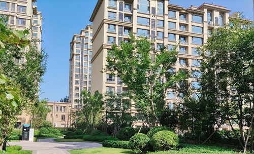 寶通陸號(hào)二期景觀綠化工程