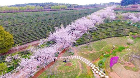 南昌十大最好玩的景點(diǎn)，南昌旅游攻略必去景點(diǎn)