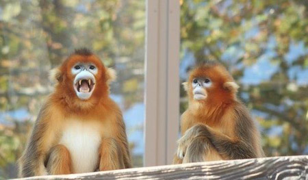 成都十大最好玩的地方，四川成都旅游攻略七日游自由行