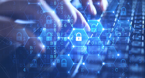 網(wǎng)絡(luò)安全手抄報(bào)的句子，網(wǎng)絡(luò)安全手抄報(bào)內(nèi)容簡單句子