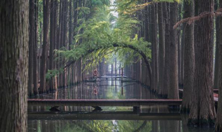 泰州十大最好玩的地方，泰州旅游景點(diǎn)攻略