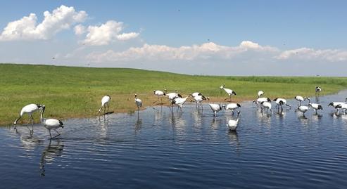 齊齊哈爾十大最好玩的地方，齊齊哈爾旅游攻略必去景點