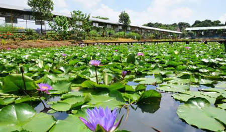 中山十大好玩的地方排行榜，中山旅游景點哪些地方最好玩
