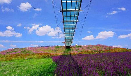 銀川十大最好玩的地方，銀川旅游景點(diǎn)攻略