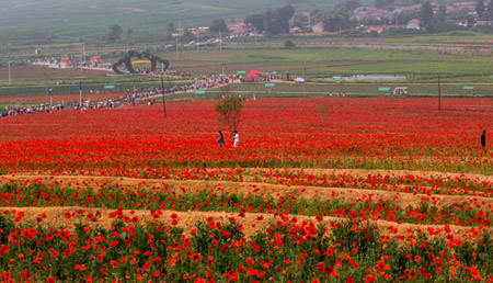 遼源十大最好玩的地方，遼源有什么好玩的景點(diǎn)