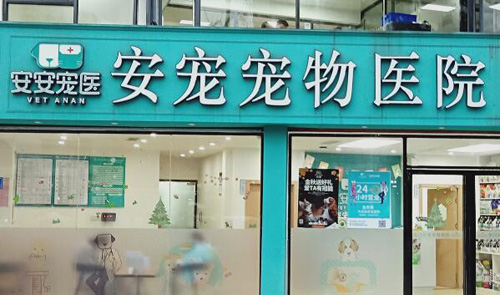 寵物醫(yī)院連鎖品牌排行榜，正規(guī)的寵物醫(yī)院有哪些