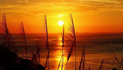 幽默句子形容自己老了，一晃就老了的幽默短句