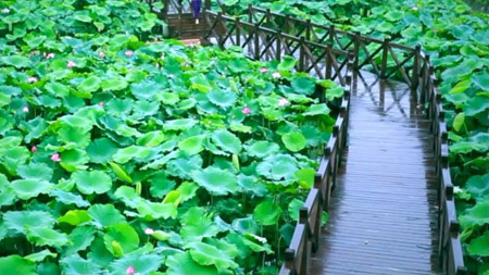 南充南部縣十大最好玩的地方，南部縣旅游景點(diǎn)有哪些