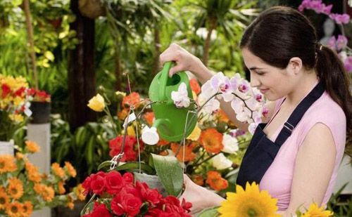 怎樣自制花肥料，家庭養(yǎng)花用什么肥料好