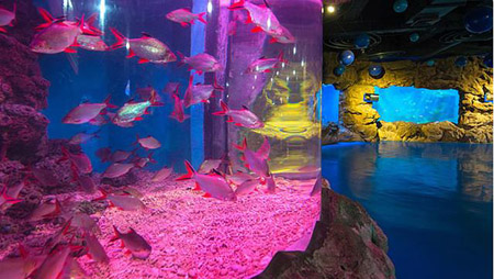 煙臺十大最好玩的地方，煙臺旅游攻略必去景點