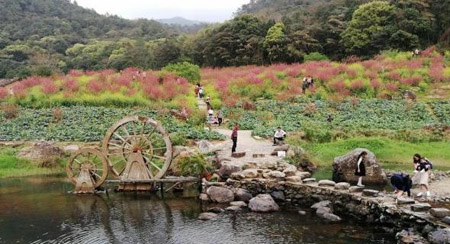 廣州從化哪里好玩景點，從化有什么好玩的地方