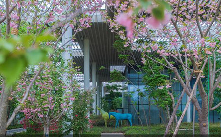 日照十大最好玩的地方，日照旅游景點哪里好玩