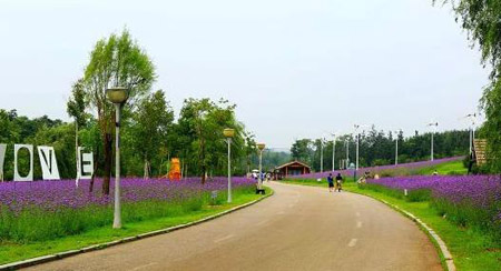 南陽十大最好玩的景點，南陽旅游景點大全簡介