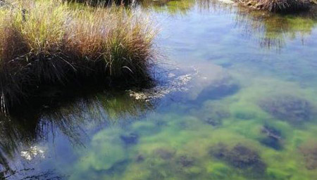 黑河十大最好玩的地方，黑河旅游攻略必玩的景點