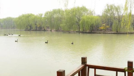 阜陽十大好玩的地方，阜陽有什么好玩的地方景點