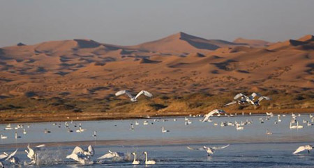 阿拉善盟十大最好玩的地方，阿拉善盟旅游景點(diǎn)排名榜